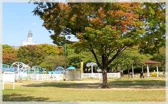 八幡屋公園 八幡屋公園